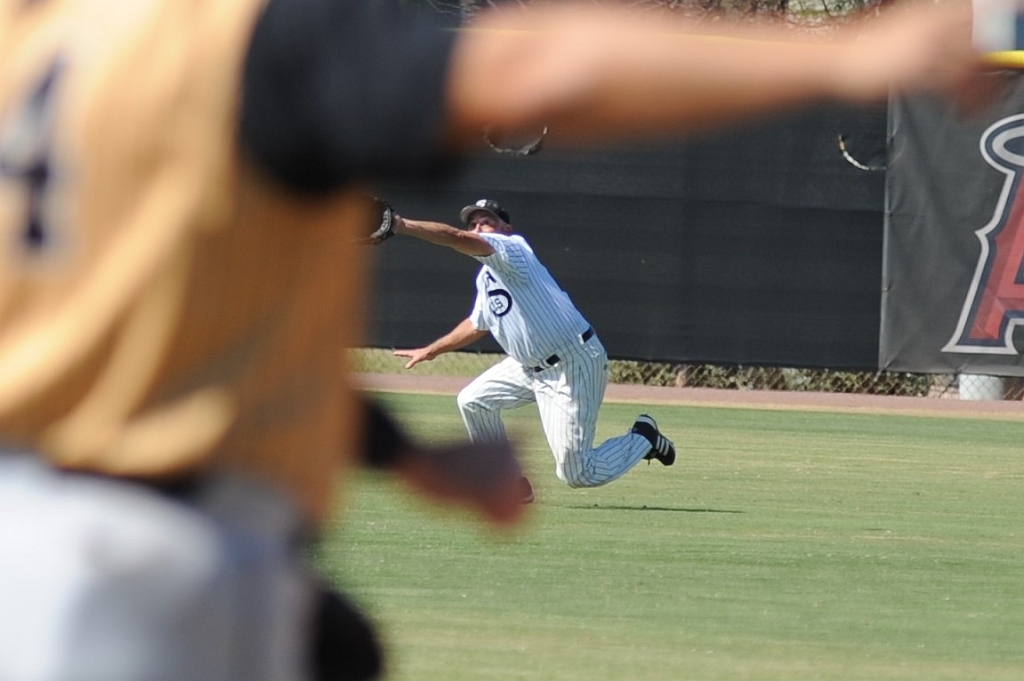 Seals_2017-10-12 (615).JPG - (c)2010 DeVetter